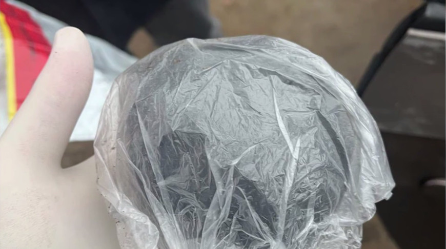 Скриншот видео МВД