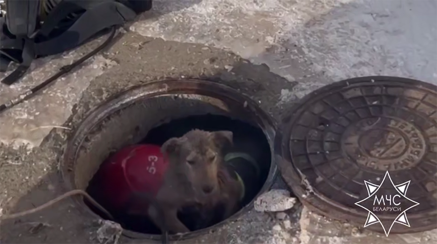 Скриншот видео МЧС