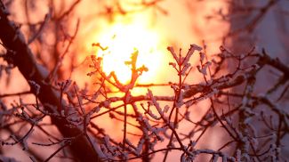 Фото из архива