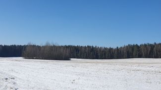 Фото из архива