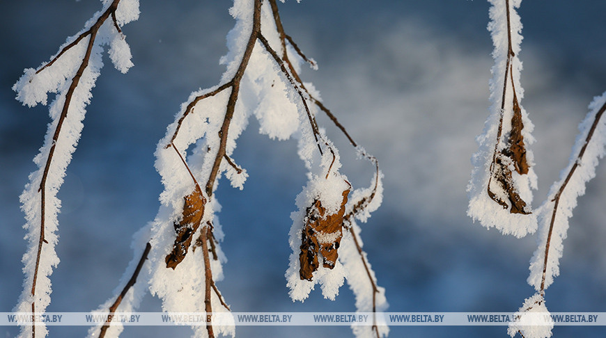 Фото из архива