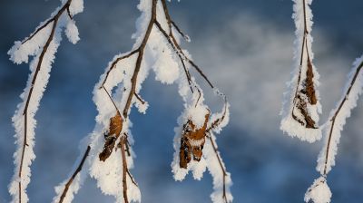 Фото из архива