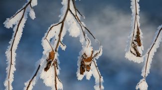 Фото из архива