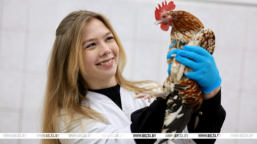 Полина Мовсесян