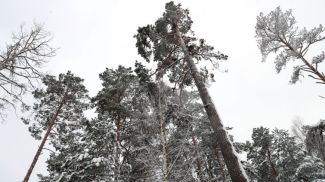 Фото из архива