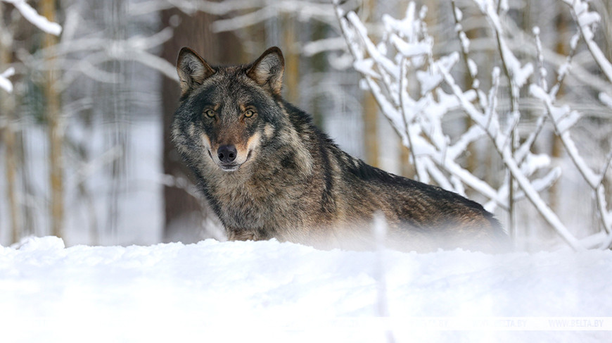 Фото из архива