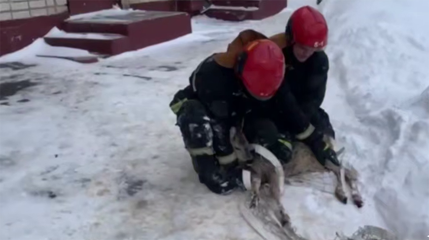 Скриншот видео МЧС