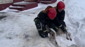 Скриншот видео МЧС