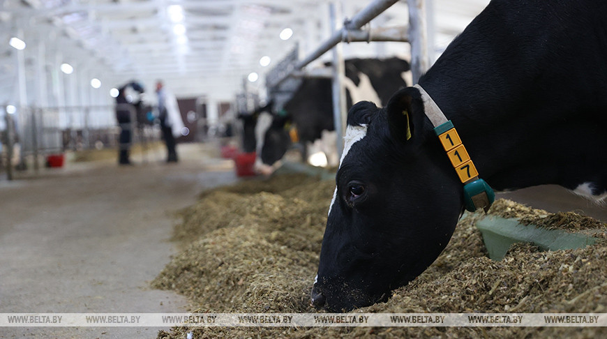 Фото из архива