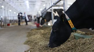 Фото из архива