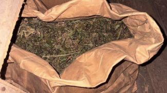 Фото УВД Миноблисполкома