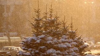 Фото из архива