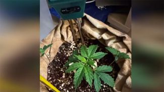 Скриншот видео ГУВД Мингорисполкома