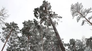 Фото из архива