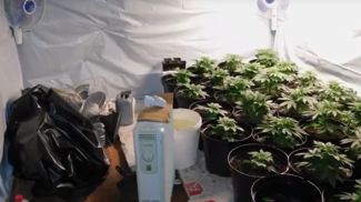 Скриншот видео