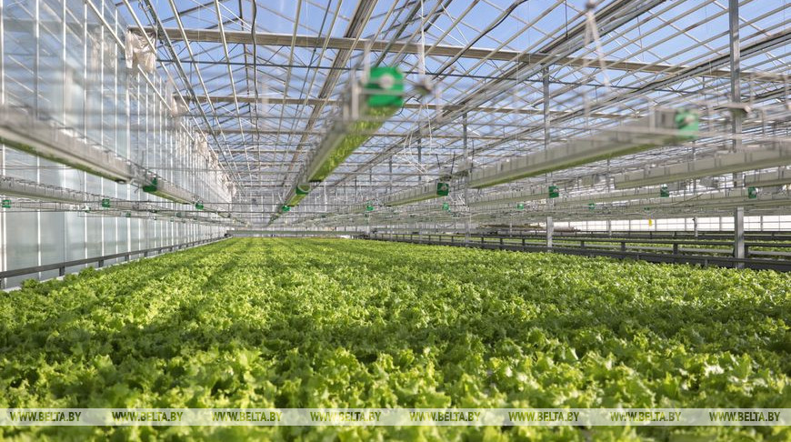 Фото из архива