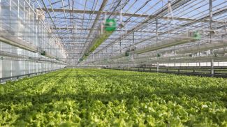 Фото из архива