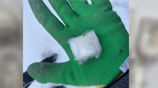 Скриншот видео МВД