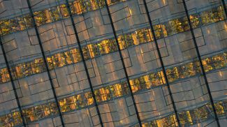 Фото из архива