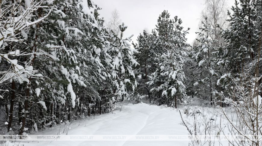 Фото из архива