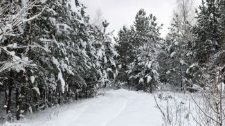 Фото из архива