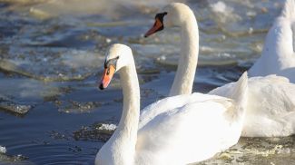 Фото из архива