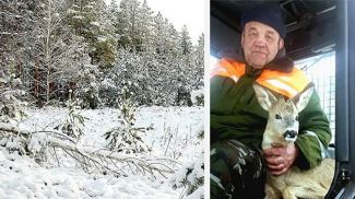 Фото Жлобинского лесхоза