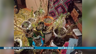 Скриншот видео УВД Брестского облисполкома