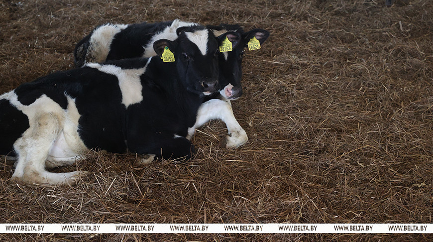 Фото из архива