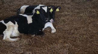 Фото из архива