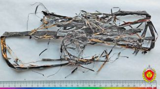 Фото Государственного комитета судебных экспертиз
