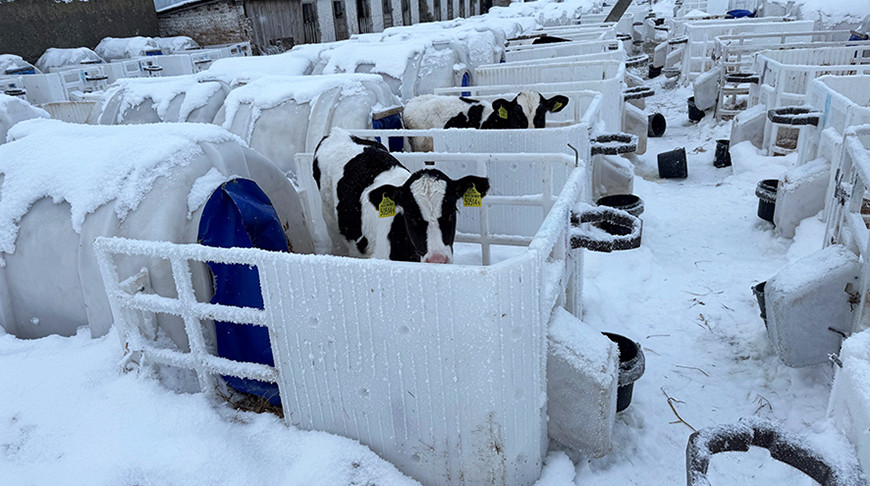 Фото прокуратуры Гродненской области