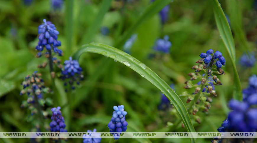 Фото из архива