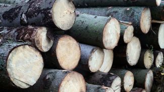 Фото из архива