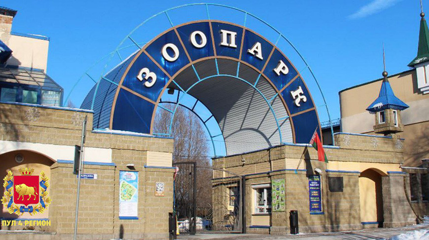 Фото из Telegram-канала "Пул 4 Регион"