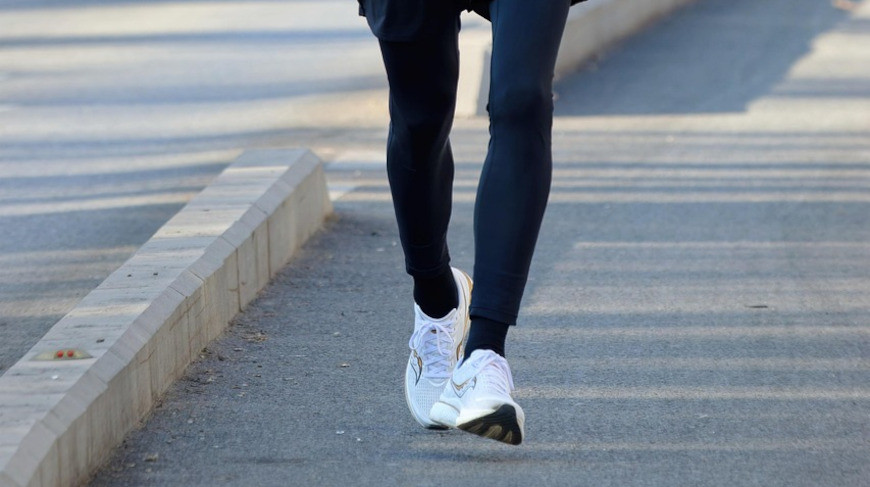 Фото из архива pixabay