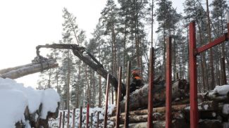 Фото из архива