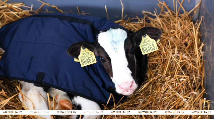 Фото из архива