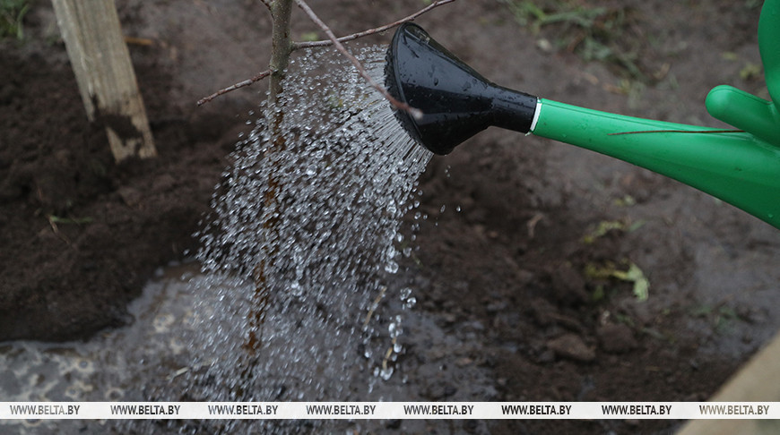 Фото из архива