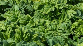 Фото из архива