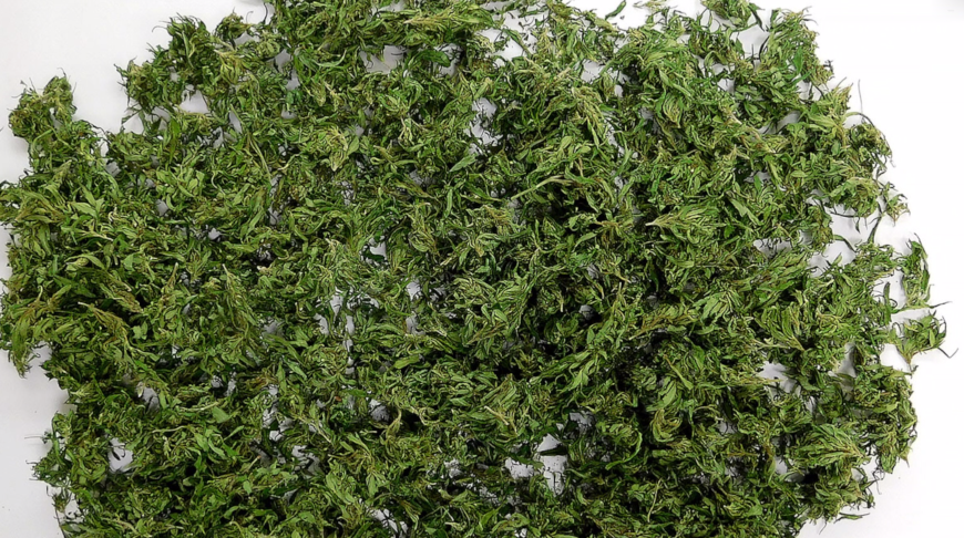 Фото прокуратуры Могилевской области