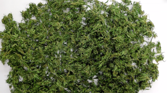 Фото прокуратуры Могилевской области