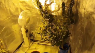 Скриншот видео МВД