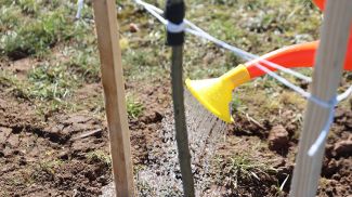 Фото из архива