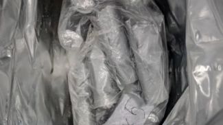 Скриншот видео ГУВД Мингорисполкома