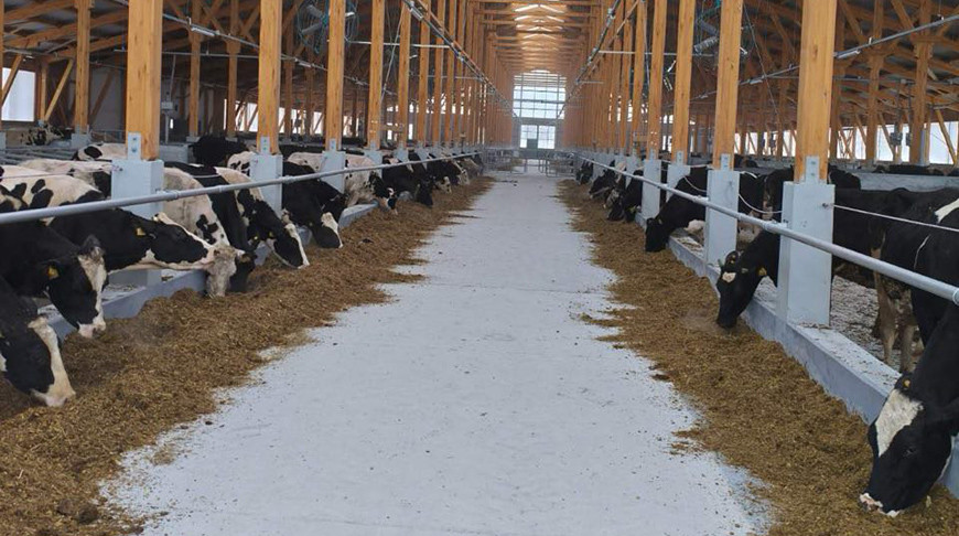 Фото Управления делами Президента