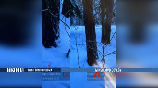 Скриншот видео ГУВД Мингорисполкома