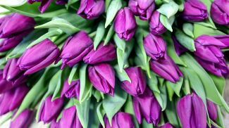 Фото из архива