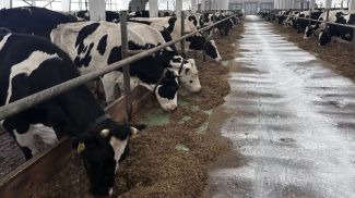 Фото Генпрокуратуры