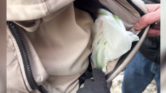 Скриншот видео МВД